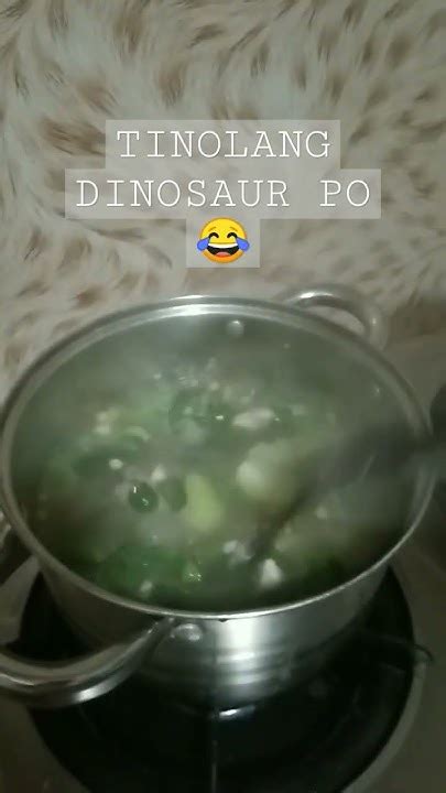 tinolang dinosaur|Tinolang Dinosaurs .